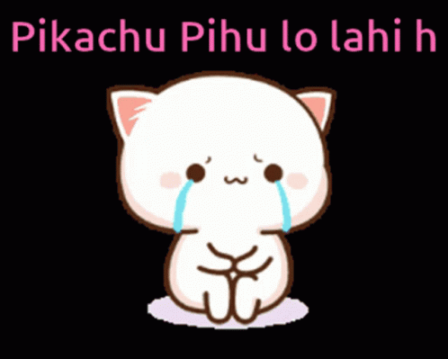 Cat Crying Pikachu Pihu Lo Lahi