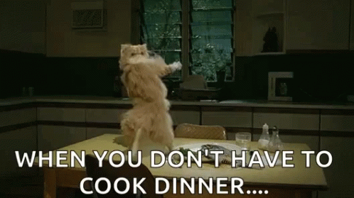 Cat Dance When You Don't Have To Cook GIF