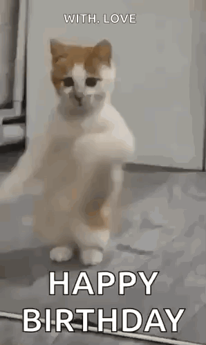 Cat Dancing Happy Birthday GIF
