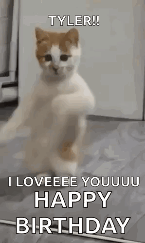 Cat Dancing I Loveeeee Youuu Happy Birthday