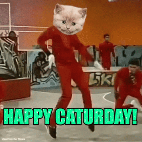 Cat Dancing on Skateboard