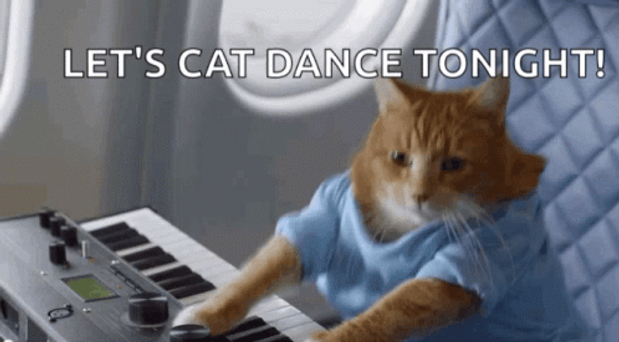 Catjam Cat Dancing GIF - Catjam Cat Dancing Cat Music - Discover & Share  GIFs
