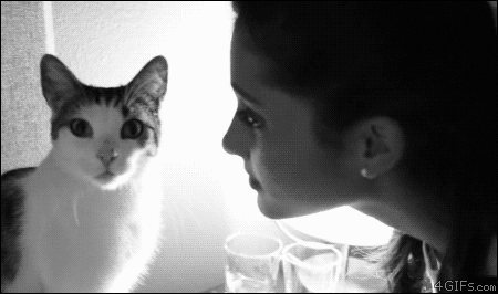 Cat Denied A Kiss From Girl GIF