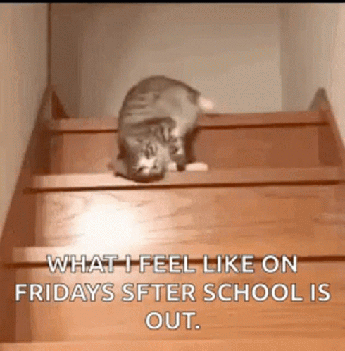 Cat Descending Stairs Lazily Friday GIF