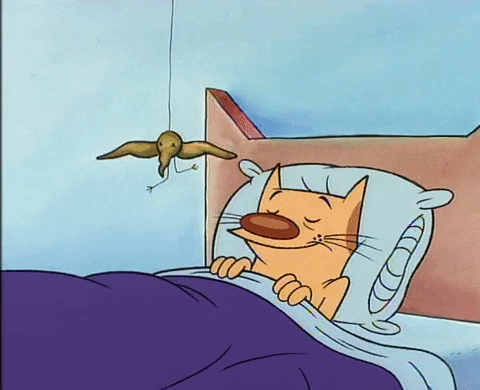 Cat Dog Waking Up GIF