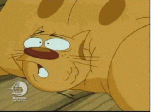 Cat Dog Weight Gain GIF