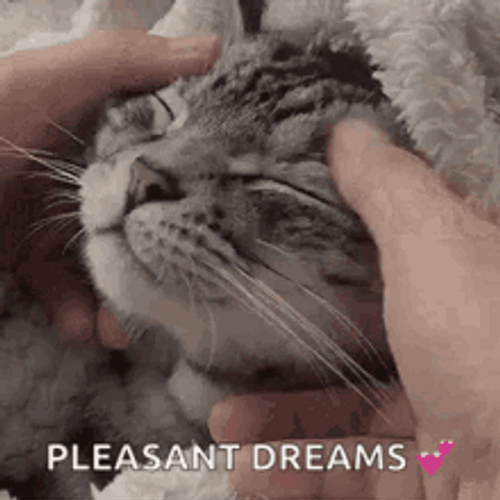 Cat Dreaming Sweet Dreams GIF 