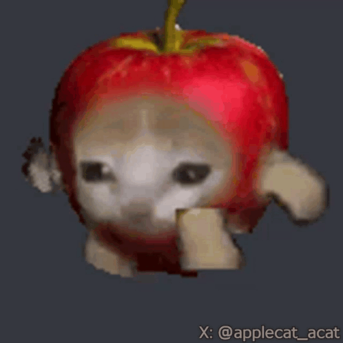 Cat Dressed As Apple Walking GIF
