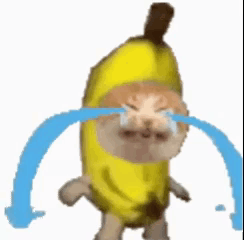 Cat Dressed as Banana Crying With Tears