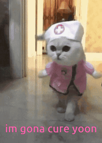Cat Dressed as Nurse Gonna Cure Yoon