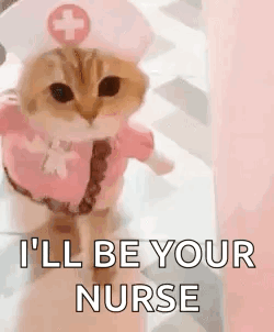 Cat Dressed as Nurse Ill Be Your Nurse