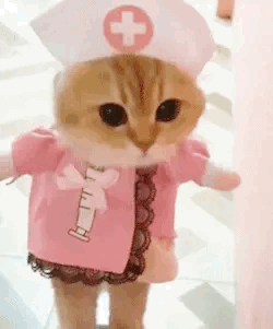 Cat Dressed as Nurse with Syringe
