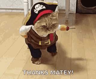 Cat Dressed as Pirate Holding Screwdriver
