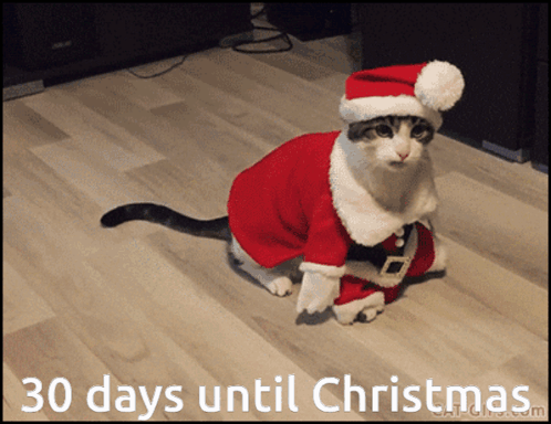 Cat Dressed as Santa Saying 30 Days Until Christmas