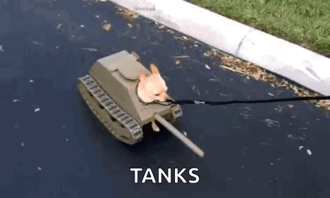Cat Dressed as Tank on Leash