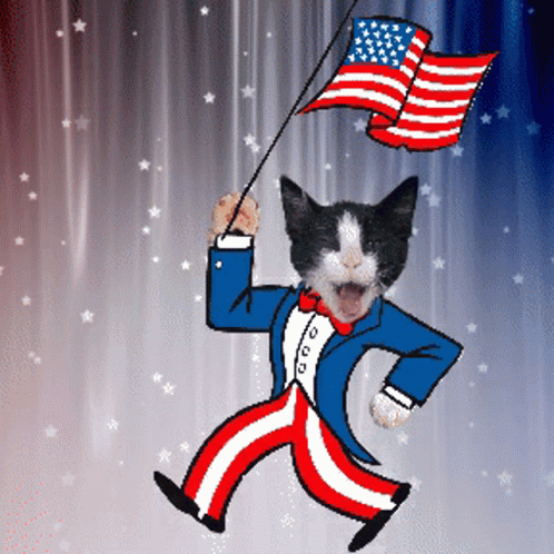 Cat Dressed as Uncle Sam Holding American Flag