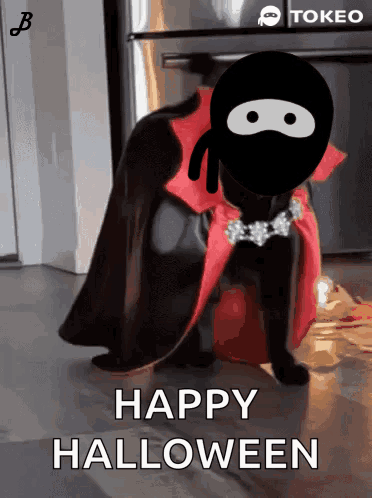 Cat Dressed as Vampire Saying Happy Halloween