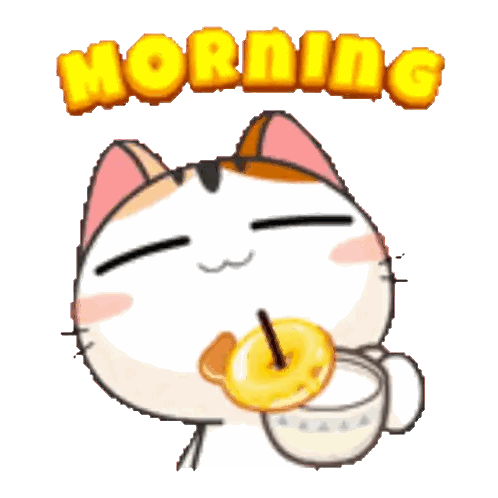 Cat Drinking Coffee Morning