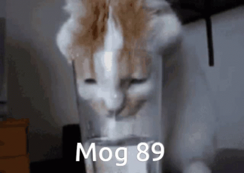 Cat Drinking From Glass With Number 89 GIF