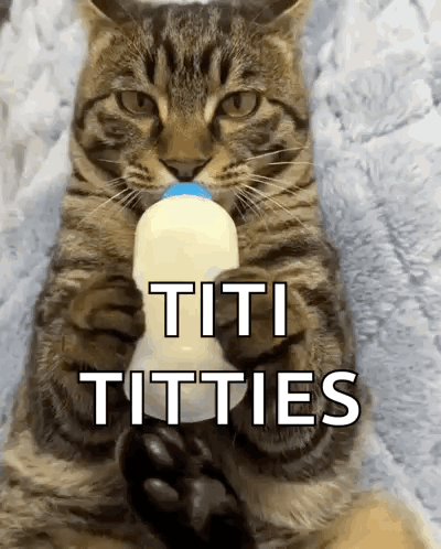 Cat Drinking Milk from Bottle Saying Titi Titties