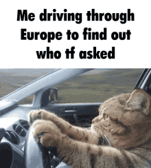 Cat Driving Across Europe GIF