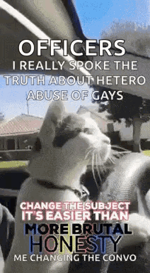 Cat Driving Car Officers I Spoke Truth GIF