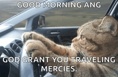 Cat Driving Car Saying Good Morning Ang God Grant You Traveling Mercies GIF
