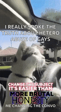 Cat Driving Car Saying I Really Spoke the Truth About Hetero