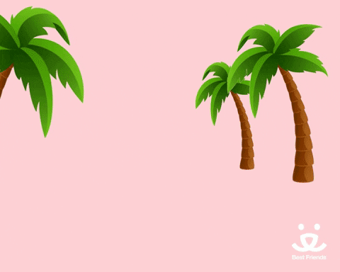 Cat Driving On Pink Beach GIF