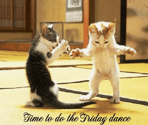 Cat Duo Time To Do Friday Dance GIF