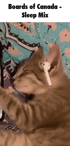 Cat Ear Buds Boards of Canada Sleep Mix