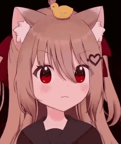 Cat Ears Girl Duck On Head Making Face GIF