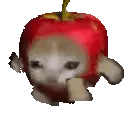 Cat Eating Apple and Bread Slice
