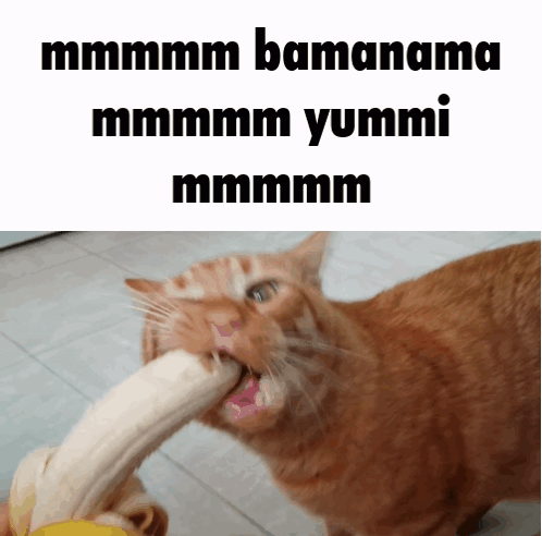 Cat Eating Banana Mmm GIF