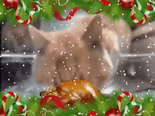Cat Eating Chicken Christmas Meme GIF