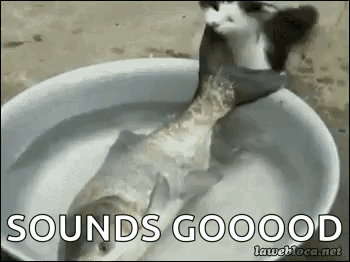 Cat Eating Fish in Water Bowl