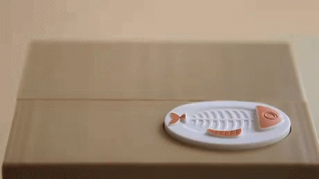 Cat Eating Fish Skeleton On Plate GIF