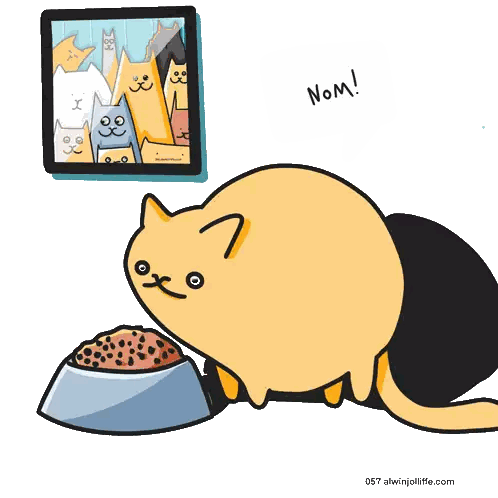 Cat Eating from Bowl Nom