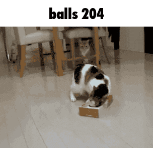 Cat Eating From Cardboard Box GIF