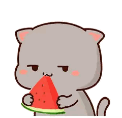 Cat Eating Watermelon Slice