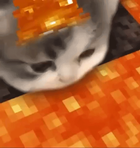 Cat Edited Minecraft Lava GIF