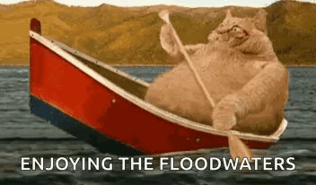 Cat Enjoying Flooded Waters GIF