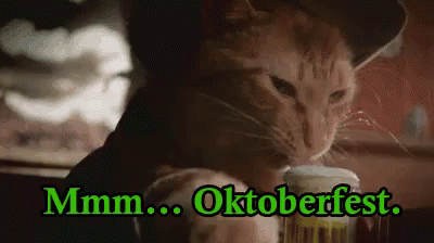 Cat Enjoying Oktoberfest GIF