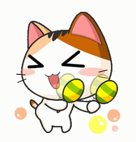 Cat Enjoying The Fiesta GIF