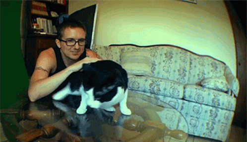 Cat Explosive Diarrhea Meme GIF