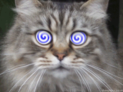 Cat Eye Hypnosis Spiral GIF