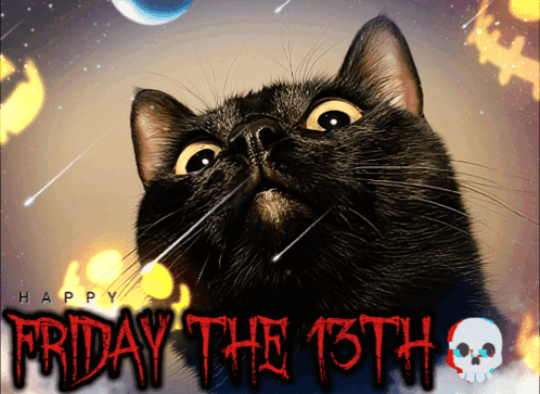Cat Face Closeup Happy Friday The 13th GIF