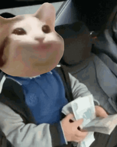 Cat Face Person Holding Money GIF