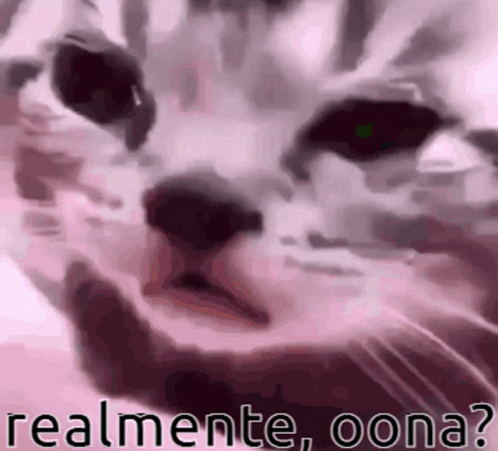 Cat Face Realmente Oona?