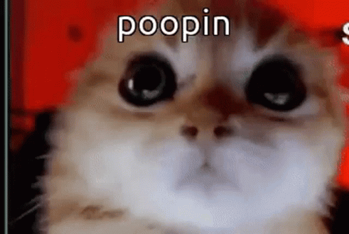 Cat Face Red Poopin
